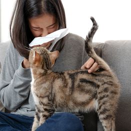 Аллергиямен қалай күресуге болады: кеңестер мен заманауи әдістер